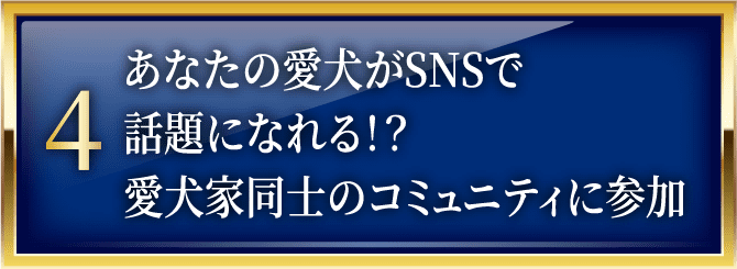 あなたの愛犬がSNSで話題になれる！？愛犬家同士のコミュニティに参加