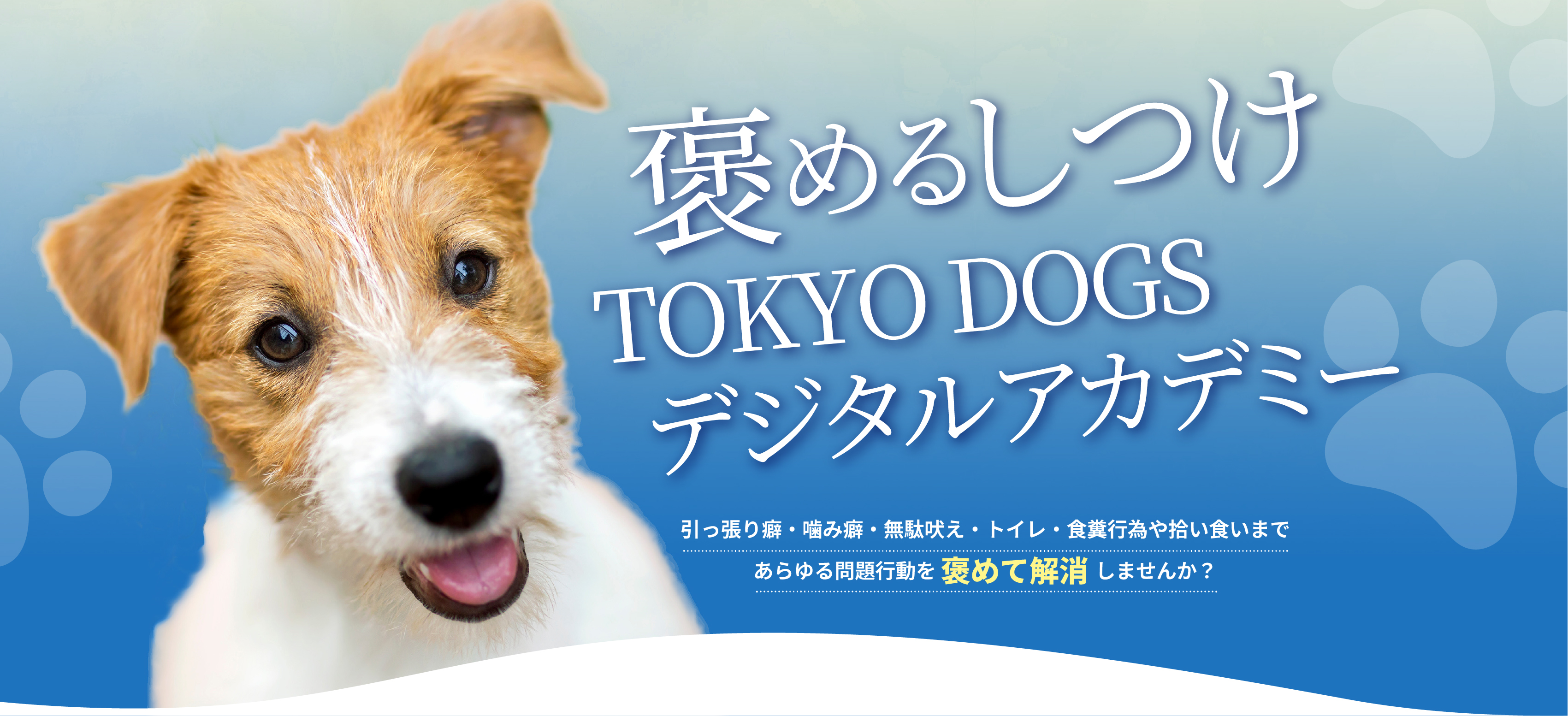 愛犬オーダーメイド褒めるしつけ代行